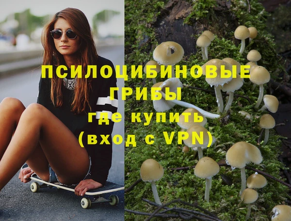 бошки Беломорск
