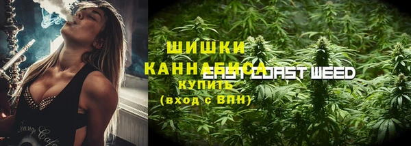 хмурый Богородицк