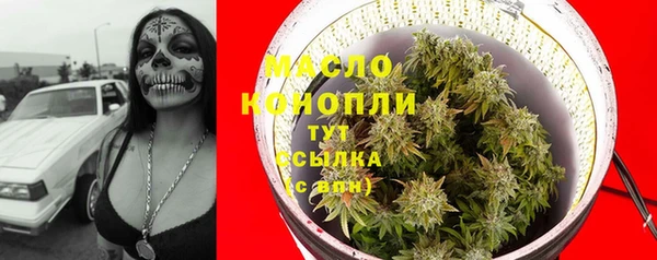 хмурый Богородицк